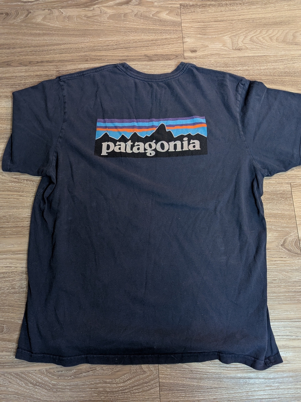 Patagonia Navy Tee with Multicolor Mountain Logo